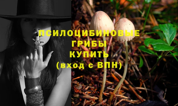 mdpv Алзамай