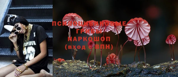 ALPHA-PVP Алексеевка